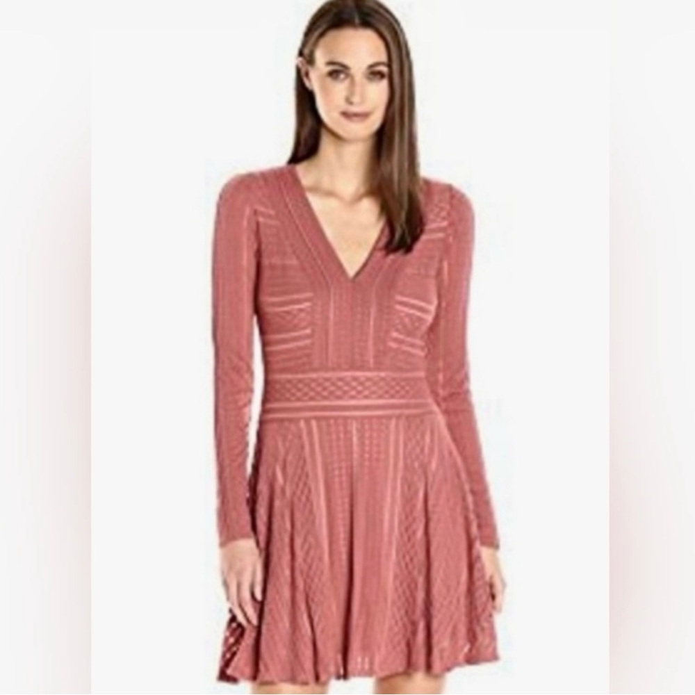 BCBG Kinley Long Sleeve V Neck A-Line Dress Pink Dark Blush Lined Size XS